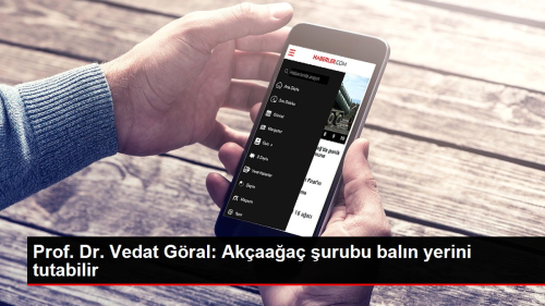 Prof. Dr. Vedat Gral: Akaaa urubu, baln alternatifi olabilir