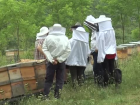 Ramazanda Ar� �r�nleri T�ketilmesi Tavsiyesi