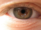 Retina Hastal�klar�na Dikkat