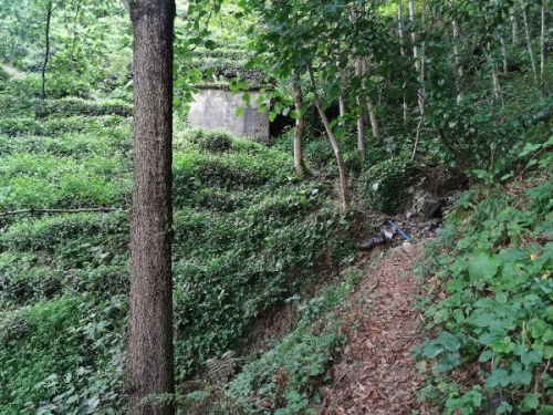 Rize'de Yanl Su Depolama Yntemleri nsan Saln Tehdit Ediyor