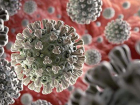 RSV Vir�s� nedir? RSV Vir�s� �ld�r�c� m�? RSV bula��c� m�?