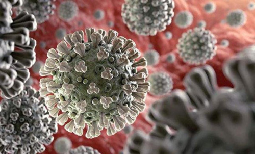 RSV Virs nedir? RSV Virs ldrc m? RSV bulac m?