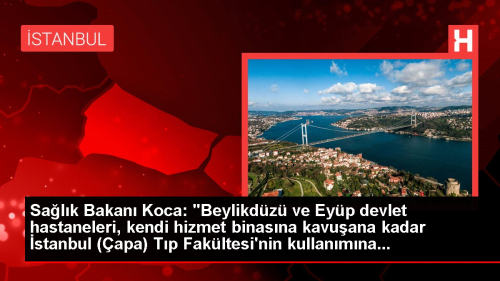 Salk Bakan Koca: 