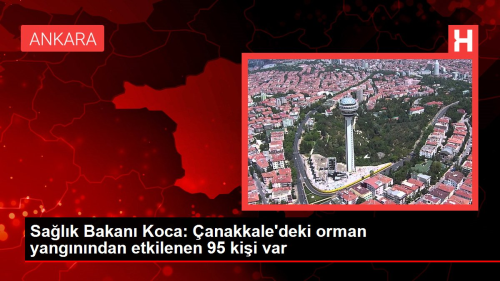 Sa�l�k Bakan� Koca: �anakkale'deki orman yang�n�ndan etkilenen 95 ki�i var