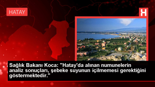 Salk Bakan Koca: 
