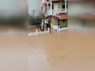 Sağlık Bakanı Koca, selde evinden çıkamayan hastaya, suya girerek müdahaleye giden hemşirenin videosunu paylaştı