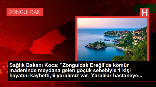Salk Bakan Koca: 