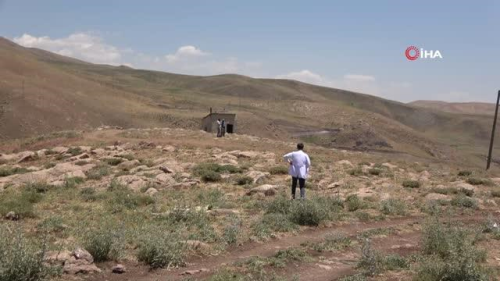 Salk alanlar da tepe demeden berivanlar, obanlar ve iftileri alyor