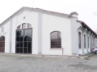 Sa�l�k m�zesinde sergilenmeye ba�layan bebek ve fet�sler 30 ya��nda