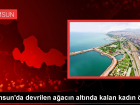 Samsun'da a�a� devrilmesi sonucu bir ki�i hayat�n� kaybetti