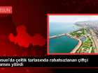 Samsun'da �eltik Tarlas�nda �al��an �ift�i Hayat�n� Kaybetti