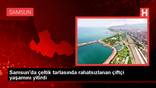 Samsun'da �eltik Tarlas�nda �al��an �ift�i Hayat�n� Kaybetti