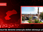 Samsun'da ekinezya iek amaya balad