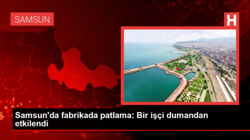 Samsun'da fabrikada patlama: Bir ii dumandan etkilendi