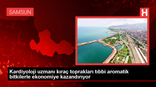 Samsun'da Kardiyoloji Uzman Tarm Yapyor