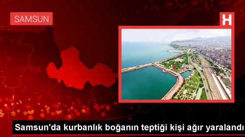 Samsun'da Kurbanlk Boann Tepmesi Sonucu Yaralanan Kii Hastaneye Kaldrld