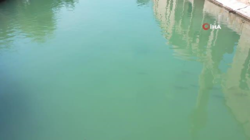 �anl�urfa'da cadde ve sokaklar bo� kald�