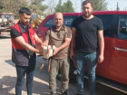 �anl�urfa'da Tedavi Edilen 2 Leylek Do�al Ya�am Alan�na B�rak�ld�
