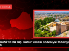 �anl�urfa Siverek'te Kuduz Vakas�: Bir Ki�i Tedavi Alt�na Al�nd�