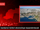 Sar� Kantaron Bitkisi T�rkiye'de �slah Ediliyor