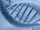 Sigara Duman� DNA'ya Bile Zarar Veriyor!