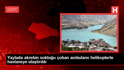 Siirt'te akrep sokan oban ambulans helikopterle hastaneye kaldrld