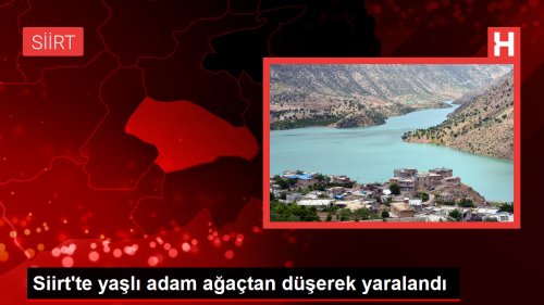 Siirt'te yal adam aatan derek yaraland