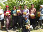 Silifke'de Guava Hasad� Ba�lad�