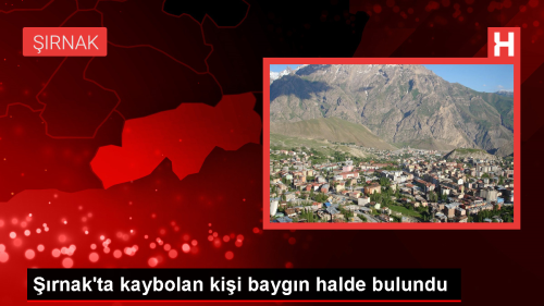 rnak'ta kayp ihbar zerine baygn halde bulunan adam hastaneye kaldrld