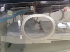 Şırnak'tan getirilen 25 haftalık 775 gramlık bebeğin tedavisi sürüyor