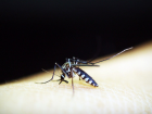 S�tma hastal��� nedir? Belirtileri, tedavisi ve �nleme y�ntemleri