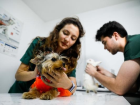 Sivrisinek ve Pire Pop�lasyonu Art���yla Kedi ve K�peklerde Parazit Hastal�klar� Art�yor
