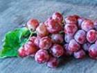 Siyah �z�m�n Faydalar� Saymakla Bitmiyor
