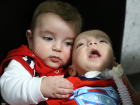 Siyam Ikizleri Birbirine Kavu�tu