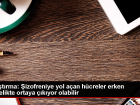 �izofreniye Neden Olan H�crelerin Erken Gebelik D�neminde G�r�lebilece�i Ortaya ��kt�
