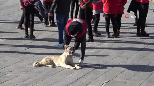 Sokaa kma kstlamasnda 80 gnll kan verdi