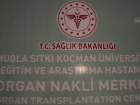 Mula Organ Nakli Merkezinde ilk bbrek nakli gerekletirildi