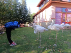 Son dakika haber... Otizmi kabullenemeyen aileler, �ocuklar�n�n gelece�ini karartabilirler