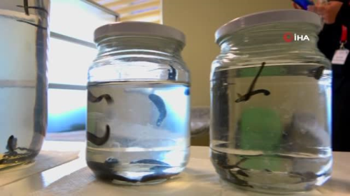 Son dakika haberi! Binlerce y�ll�k tedavi y�ntemleri bu merkezde uygulan�yor