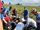 Son dakika haberi | Ni�de'de patates tarlas�na d��en para��t�� hastaneye kald�r�ld�