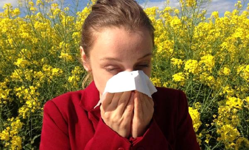 Son dakika haberleri | Alerjisi ya da astm olanlara Covd-19 tavsiyeleri