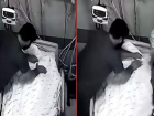 Son Dakika: Tokat'taki özel hastanede hastaya kötü muamele yapan sağlık çalışanlarının cezası kesildi