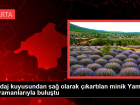 Sondaj kuyusundan sa� olarak ��kart�lan minik Yama�, kahramanlar�yla bulu�tu