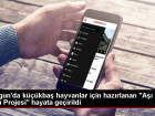 Sorgun'da k���kba� hayvanlara a�� ve tedavi i�in 'A�� Yolu Projesi' hayata ge�irildi