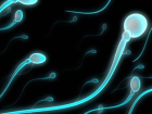 Sperm Say�s� 50 Y�lda Y�zde 50 Azald�! �nsanl���n Sonu Gelebilir