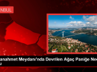 Sultanahmet Meydan�'nda Devrilen A�a� Pani�e Neden Oldu