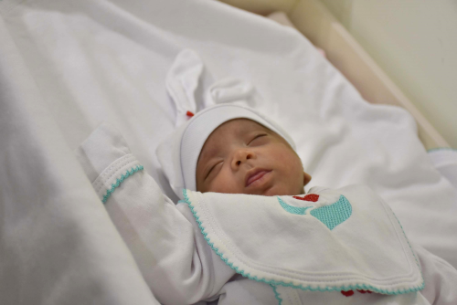 Susuz Kalan Su Bebek Can Hastanesi'nde Hayat Buldu