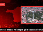 Tarsus'ta h�nnap hasad� ba�lad�: 15 ton rekolte bekleniyor