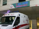 Tartt erkek arkadan baklad