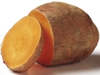 Tatlı Patates E Vitamini Deposu!